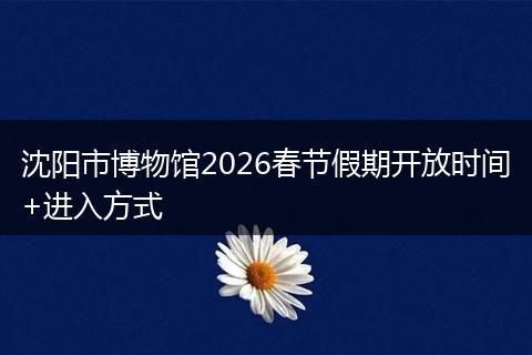 沈阳市博物馆2026春节假期开放时间+进入方式
