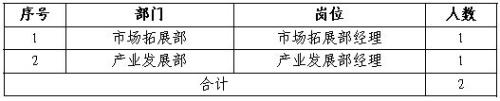 天津低空经济投资发展有限公司中层管理人员社会招聘公告