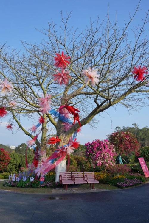 2026东莞植物园新春游园会活动游玩攻略