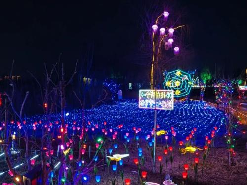 2026济宁十里湖湿地公园春节灯会（济宁彩灯大世界）