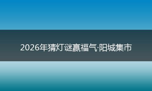 2026年猜灯谜赢福气·阳城集市