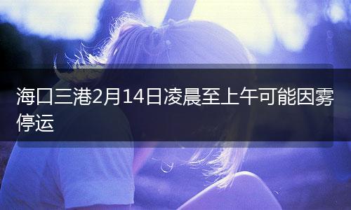 海口三港2月14日凌晨至上午可能因雾停运