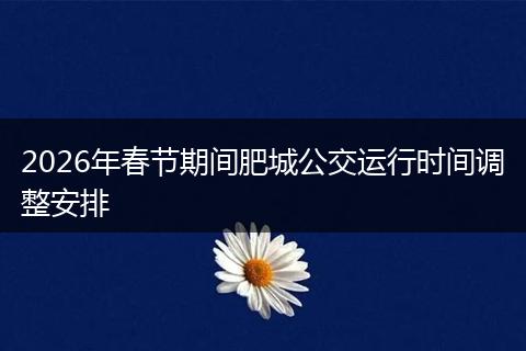 2026年春节期间肥城公交运行时间调整安排