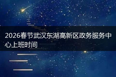2026春节武汉东湖高新区政务服务中心上班时间
