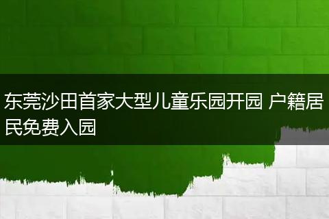东莞沙田首家大型儿童乐园开园 户籍居民免费入园