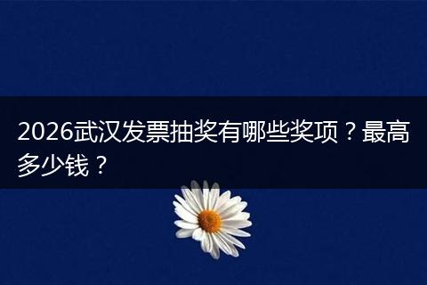 2026武汉发票抽奖有哪些奖项？最高多少钱？