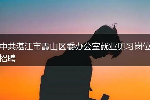 中共湛江市霞山区委办公室就业见习岗位招聘