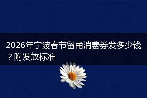 2026年宁波春节留甬消费券发多少钱？附发放标准