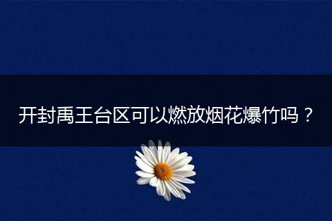 开封禹王台区可以燃放烟花爆竹吗？