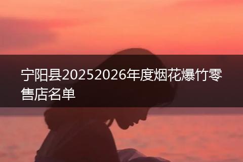 宁阳县20252026年度烟花爆竹零售店名单