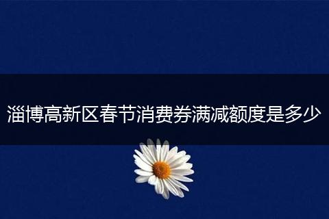 淄博高新区春节消费券满减额度是多少