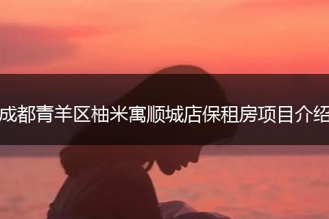 成都青羊区柚米寓顺城店保租房项目介绍