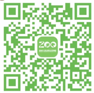 2026年徐州九顶山野生动物园春节活动