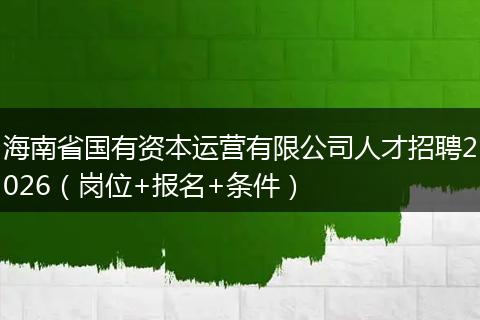 海南省国有资本运营有限公司人才招聘2026（岗位+报名+条件）