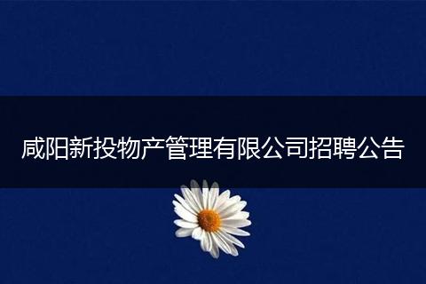 咸阳新投物产管理有限公司招聘公告