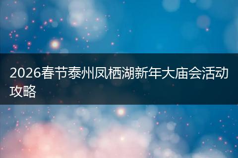 2026春节泰州凤栖湖新年大庙会活动攻略