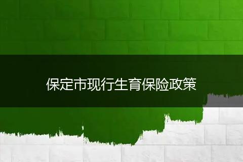 保定市现行生育保险政策