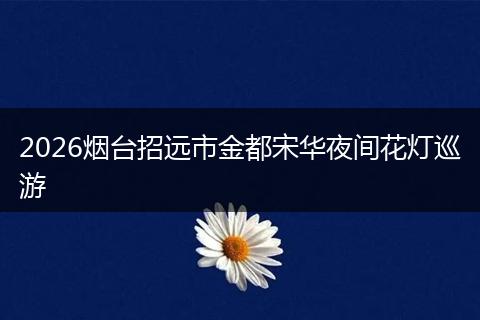 2026烟台招远市金都宋华夜间花灯巡游
