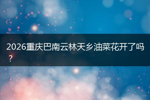 2026重庆巴南云林天乡油菜花开了吗？