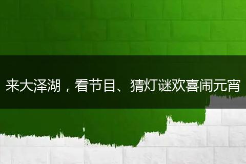 来大泽湖，看节目、猜灯谜欢喜闹元宵