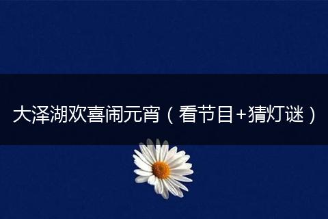 大泽湖欢喜闹元宵（看节目+猜灯谜）