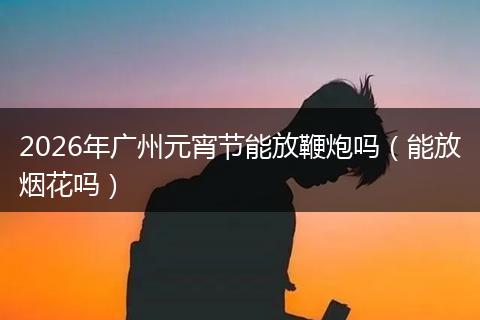 2026年广州元宵节能放鞭炮吗（能放烟花吗）
