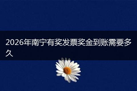2026年南宁有奖发票奖金到账需要多久