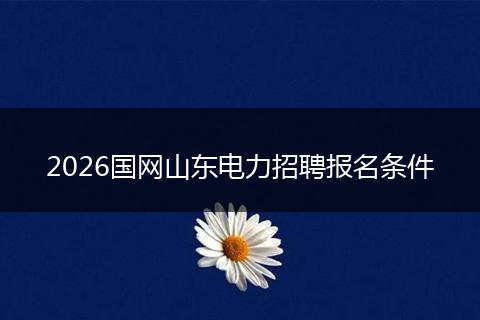 2026国网山东电力招聘报名条件