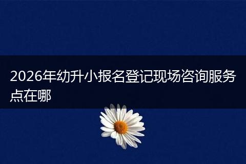 2026年幼升小报名登记现场咨询服务点在哪