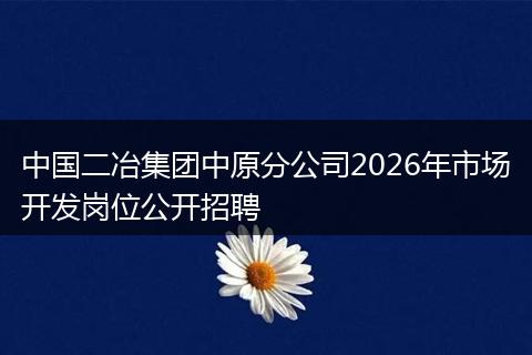 中国二冶集团中原分公司2026年市场开发岗位公开招聘