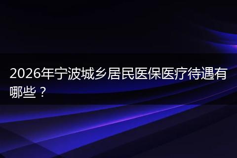 2026年宁波城乡居民医保医疗待遇有哪些？