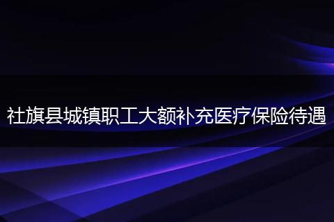 社旗县城镇职工大额补充医疗保险待遇