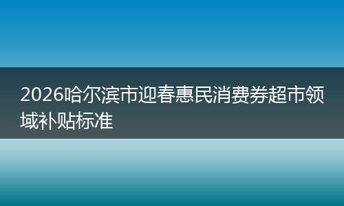 2026哈尔滨市迎春惠民消费券超市领域补贴标准