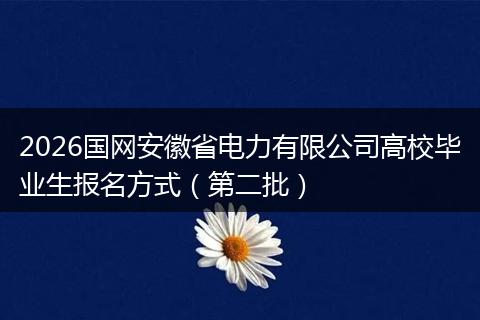 2026国网安徽省电力有限公司高校毕业生报名方式（第二批）