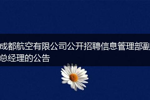 成都航空有限公司公开招聘信息管理部副总经理的公告