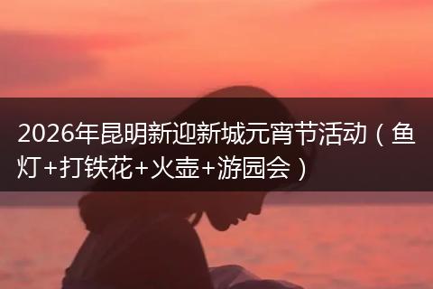 2026年昆明新迎新城元宵节活动（鱼灯+打铁花+火壶+游园会）