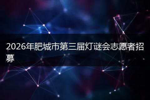 2026年肥城市第三届灯谜会志愿者招募