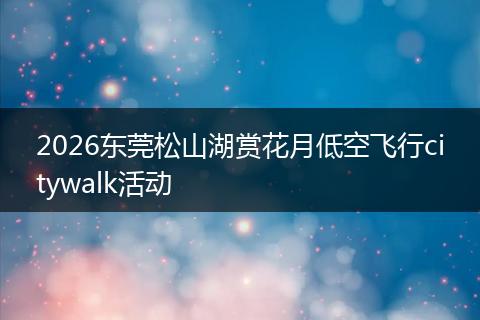 2026东莞松山湖赏花月低空飞行citywalk活动