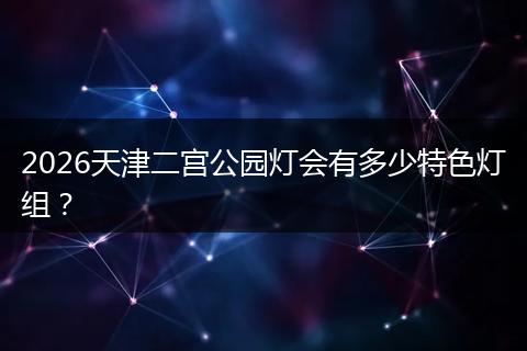 2026天津二宫公园灯会有多少特色灯组？