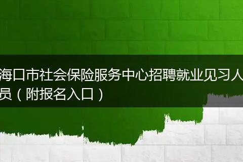 海口市社会保险服务中心招聘就业见习人员（附报名入口）