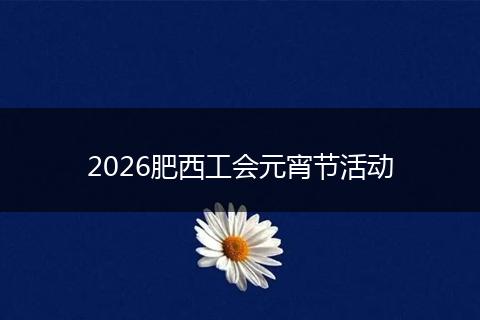 2026肥西工会元宵节活动