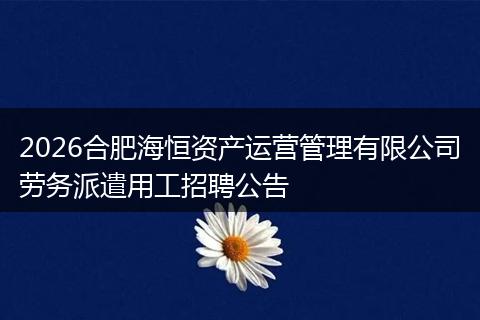 2026合肥海恒资产运营管理有限公司劳务派遣用工招聘公告