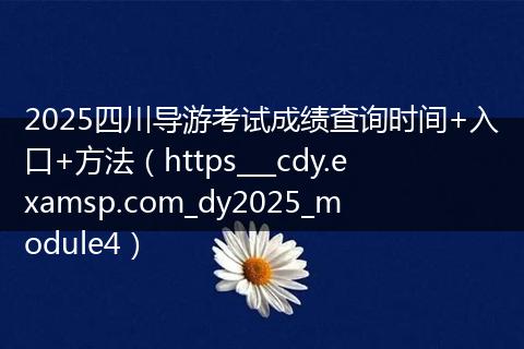 2025四川导游考试成绩查询时间+入口+方法（https___cdy.examsp.com_dy2025_module4）