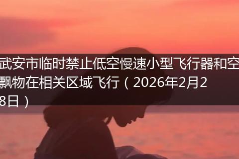 武安市临时禁止低空慢速小型飞行器和空飘物在相关区域飞行（2026年2月28日）