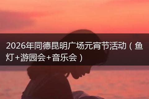 2026年同德昆明广场元宵节活动（鱼灯+游园会+音乐会）