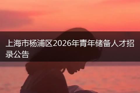 上海市杨浦区2026年青年储备人才招录公告