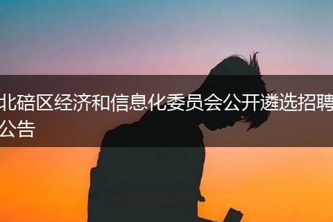 北碚区经济和信息化委员会公开遴选招聘公告