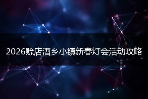 2026赊店酒乡小镇新春灯会活动攻略