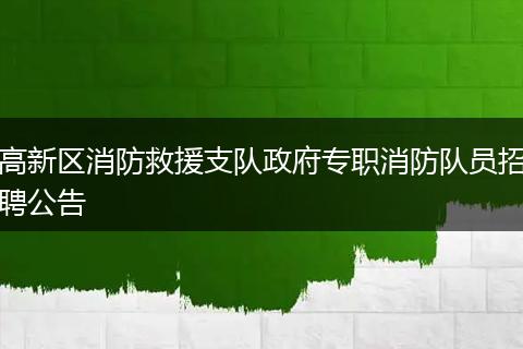 高新区消防救援支队政府专职消防队员招聘公告