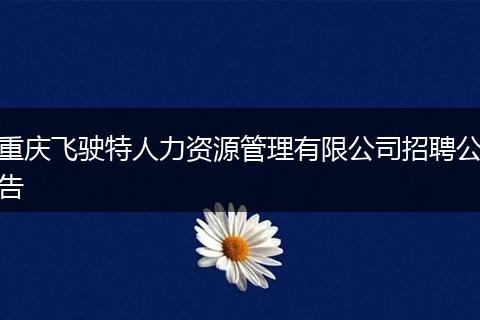 重庆飞驶特人力资源管理有限公司招聘公告
